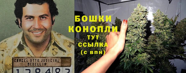 эйфоретик Михайлов