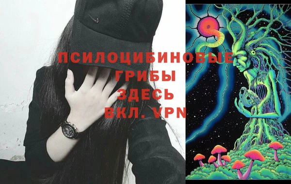 jwh Михайловск