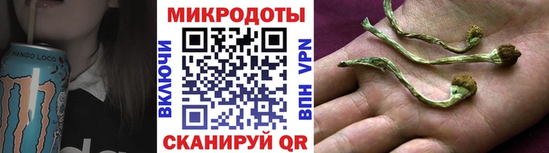 Псилоцибиновые грибы Psilocybe  площадка состав  Грайворон  закладки 