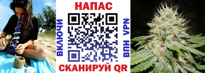 MEGA онион  Грайворон  Бошки Шишки марихуана 